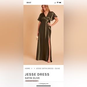 NWT Birdy Grey Jesse Dress in Satin Olive
